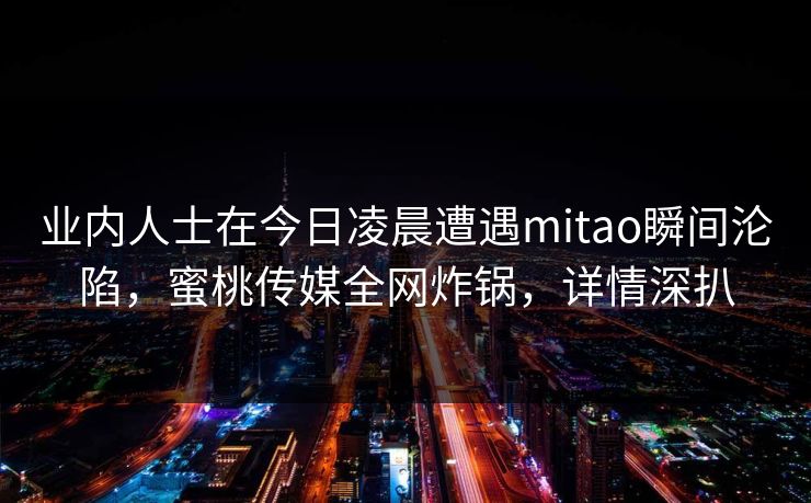 业内人士在今日凌晨遭遇mitao瞬间沦陷，蜜桃传媒全网炸锅，详情深扒